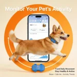4G GPS Pet Tracker with Real-Time Tracking & IP67 Waterproof - Image 4